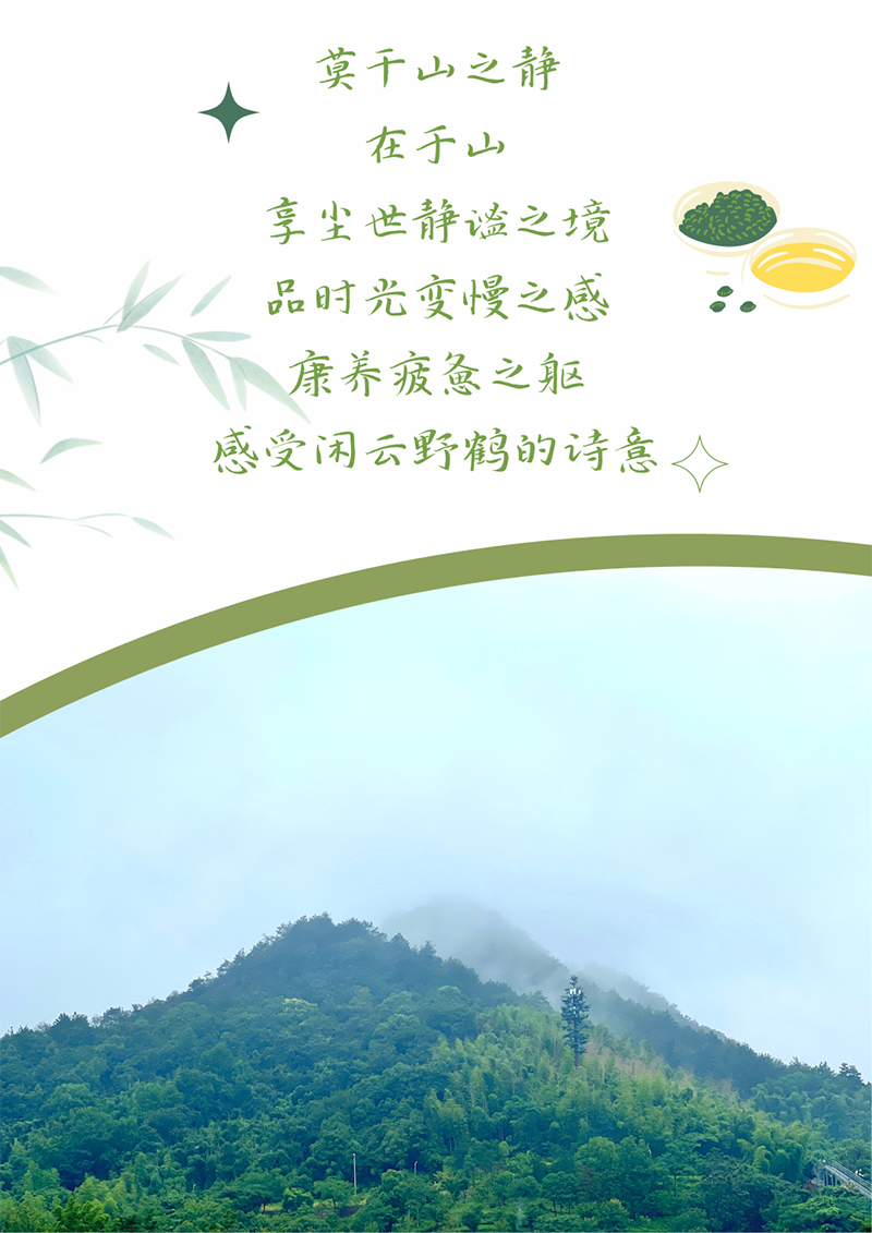 心心念廿 相伴尊龙网址登录官网 | 与德清相约 贺廿载诞辰