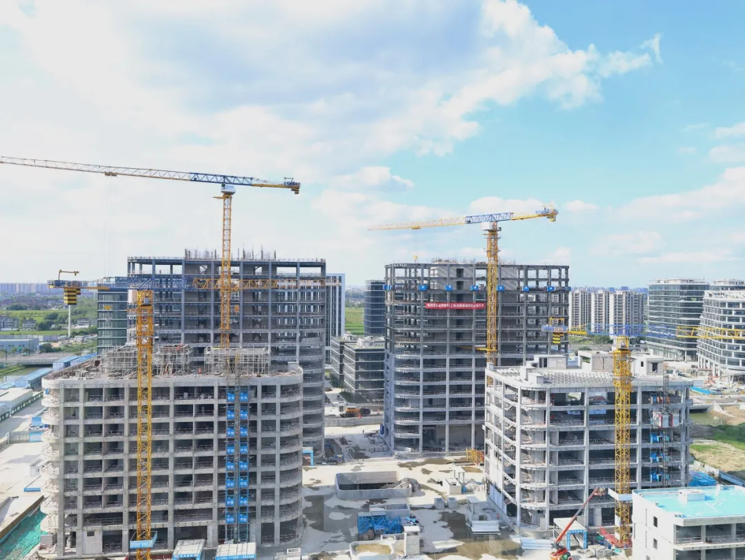 同心同向 造炬成阳 | 尊龙网址登录官网股份2024年第三季度动态速览